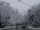 photo.php?category_id=161&file_id=2595&fileBackPage=1&filesPage=12
