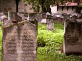 photo.php?category_id=169&file_id=2722&fileBackPage=1&filesPage=17