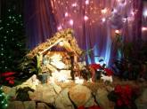 photo.php?category_id=173&file_id=2860&fileBackPage=1&filesPage=7