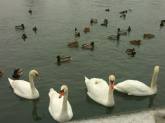 photo.php?category_id=175&file_id=2891&fileBackPage=1&filesPage=4