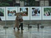photo.php?category_id=191&file_id=3399&fileBackPage=1&filesPage=10