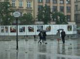 photo.php?category_id=191&file_id=3401&fileBackPage=1&filesPage=12