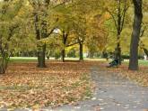 photo.php?category_id=196&file_id=3554&fileBackPage=1&filesPage=3