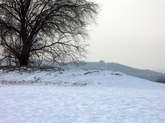 photo.php?category_id=199&file_id=3664&fileBackPage=1&filesPage=4