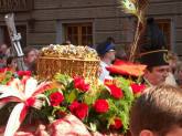 photo.php?category_id=207&file_id=3875&fileBackPage=1&filesPage=3