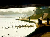 photo.php?category_id=243&file_id=4780&fileBackPage=1&filesPage=8