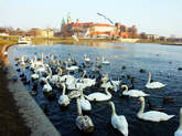 photo.php?category_id=243&file_id=4790&fileBackPage=1&filesPage=18