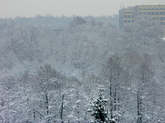 photo.php?category_id=265&file_id=5422&fileBackPage=1&filesPage=1