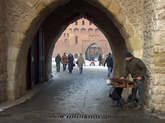 photo.php?category_id=265&file_id=5432&fileBackPage=1&filesPage=11