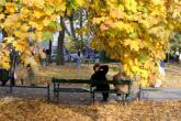 photo.php?category_id=286&file_id=5931&fileBackPage=1&filesPage=9