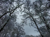 photo.php?category_id=323&file_id=7158&fileBackPage=1&filesPage=7