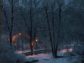 photo.php?category_id=323&file_id=7174&fileBackPage=1&filesPage=23