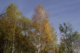 photo.php?category_id=306&file_id=6586&fileBackPage=1&filesPage=1