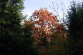 photo.php?category_id=306&file_id=6591&fileBackPage=1&filesPage=6