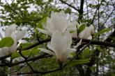 photo.php?category_id=350&file_id=7845&fileBackPage=1&filesPage=38