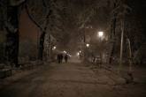 photo.php?category_id=354&file_id=7965&fileBackPage=1&filesPage=10