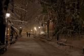 photo.php?category_id=358&file_id=8069&fileBackPage=1&filesPage=10