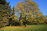 photo.php?category_id=390&file_id=8817&fileBackPage=1&filesPage=1