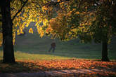 photo.php?category_id=390&file_id=8820&fileBackPage=1&filesPage=4