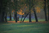 photo.php?category_id=390&file_id=8827&fileBackPage=1&filesPage=11