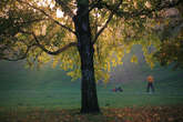 photo.php?category_id=390&file_id=8828&fileBackPage=1&filesPage=12