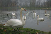 photo.php?category_id=392&file_id=8856&fileBackPage=1&filesPage=8