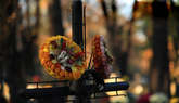 photo.php?category_id=412&file_id=9410&fileBackPage=1&filesPage=14