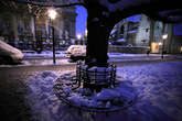 photo.php?category_id=416&file_id=9546&fileBackPage=1&filesPage=8