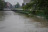 photo.php?category_id=432&file_id=9951&fileBackPage=1&filesPage=33